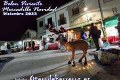 Mercado-Navidad-belen-viviente-79