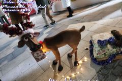 Mercado-Navidad-belen-viviente-83