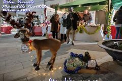 Mercado-Navidad-belen-viviente-86