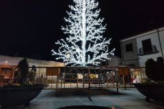 Mercado-Navidad-belen-viviente-96