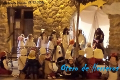 Nacimiento-Viviente-19122016-2