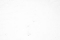 dias-nieve-12