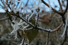 dias-nieve-3