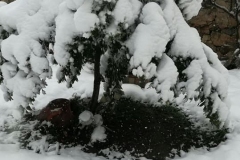 dias-nieve-6