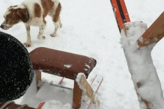 dias-nieve-7