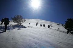 IMG-20180222-WA0012