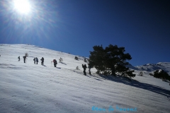 IMG-20180222-WA0041