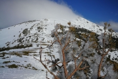 IMG-20180222-WA0046