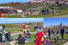 Plantacion-arboles