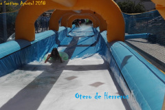 Fiestas-Santiago-Apostol-12