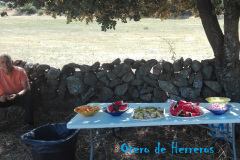 Fiestas-Santiago-Apostol-9