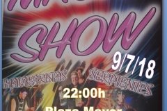 Magic-Show-1