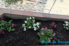 Primavera-en-Otero-10