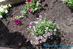 Primavera-en-Otero-11