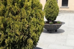 Primavera-en-Otero-12