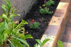 Primavera-en-Otero-8