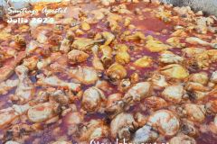 fiestas-Santiago-2024-24