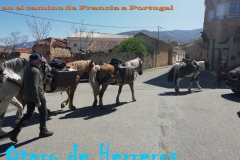 camino-de-Franci-a-Portugal-1_LI