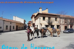 camino-de-Franci-a-Portugal-3_LI