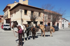 camino-de-Franci-a-Portugal-4_LI