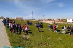 dia-del-arbol-1