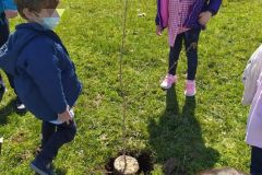 dia-del-arbol-13