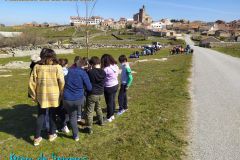 dia-del-arbol-14