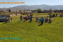 dia-del-arbol-15