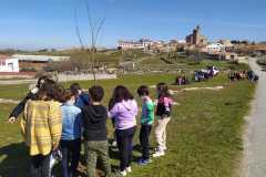 dia-del-arbol-19