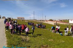 dia-del-arbol-21