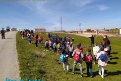 dia-del-arbol-23