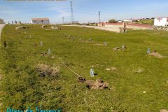 dia-del-arbol-24
