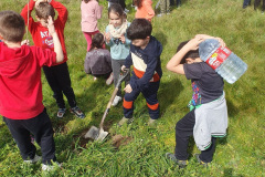 dia-del-arbol-1