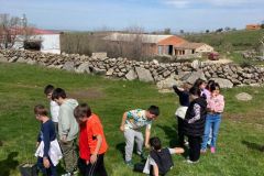 dia-del-arbol-15
