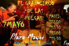 El-circo-de-las-pulgas-1