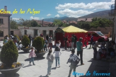 El-circo-de-las-pulgas-5
