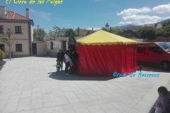El-circo-de-las-pulgas-8