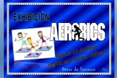 Exhibicion-Aerobics-2