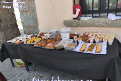 MERCADILLO-ampa-70