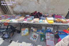 MERCADILLO-ampa-71
