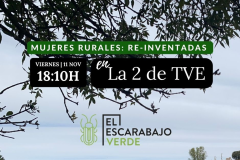 El-Escarabajo-Verde-TVE