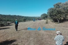 IMG-20161015-WA0006