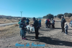 IMG-20161015-WA0007