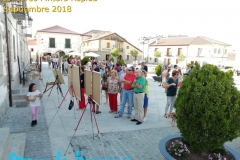 Concurso-de-pintura-2018-27