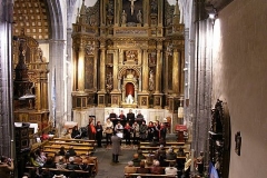 Corodecamaradesegovia007
