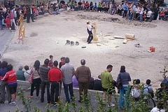 Fiestasjunio12028