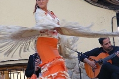 Fiestasjunio12038