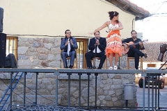 Fiestasjunio12040
