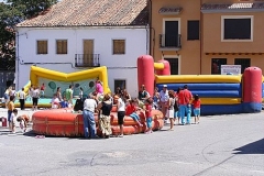HINCHABLES2