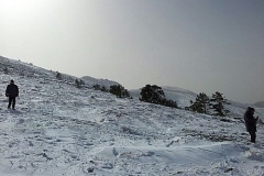 IMG-20160221-WA0011